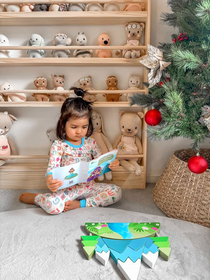 Mountain Puzzle Book Set