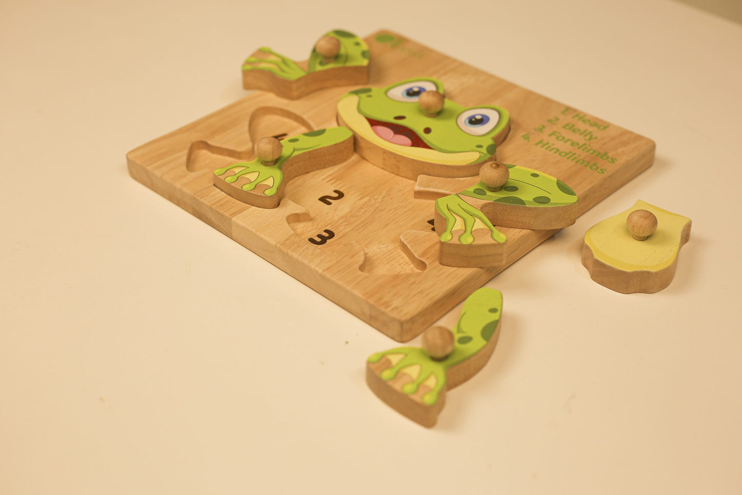 Montessori Frog Anatomy Puzzle