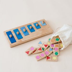 Wooden Cognitive Problem-Solving Kit