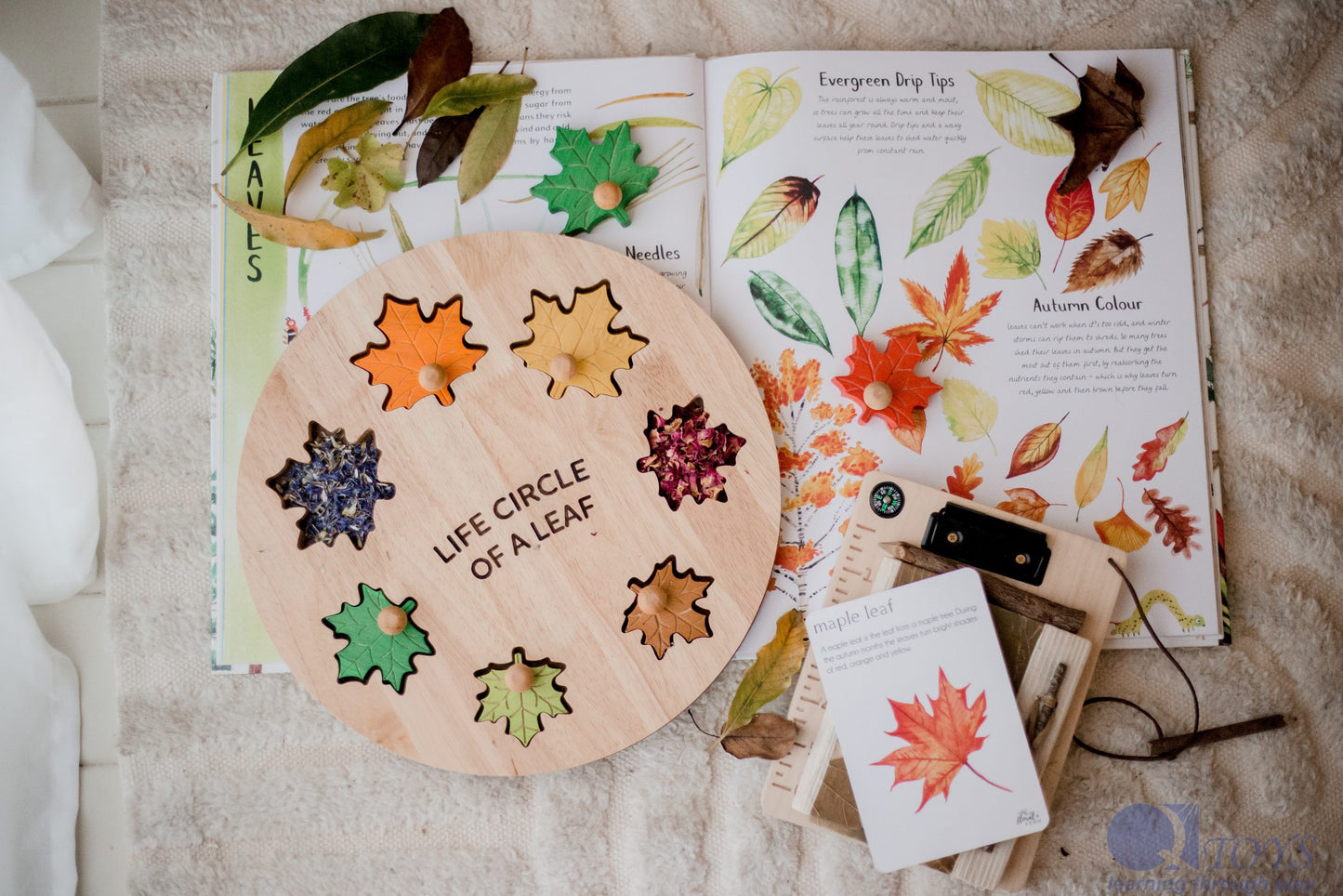Leaf Circle Life Puzzle