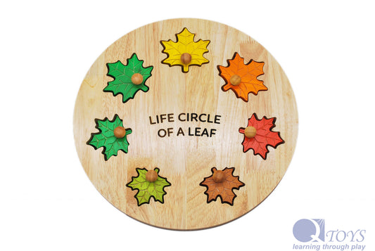 Leaf Circle of Life Wooden Learning Puzzle