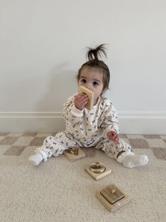 Montessori First Shape Puzzle Set – 4 Piece Set