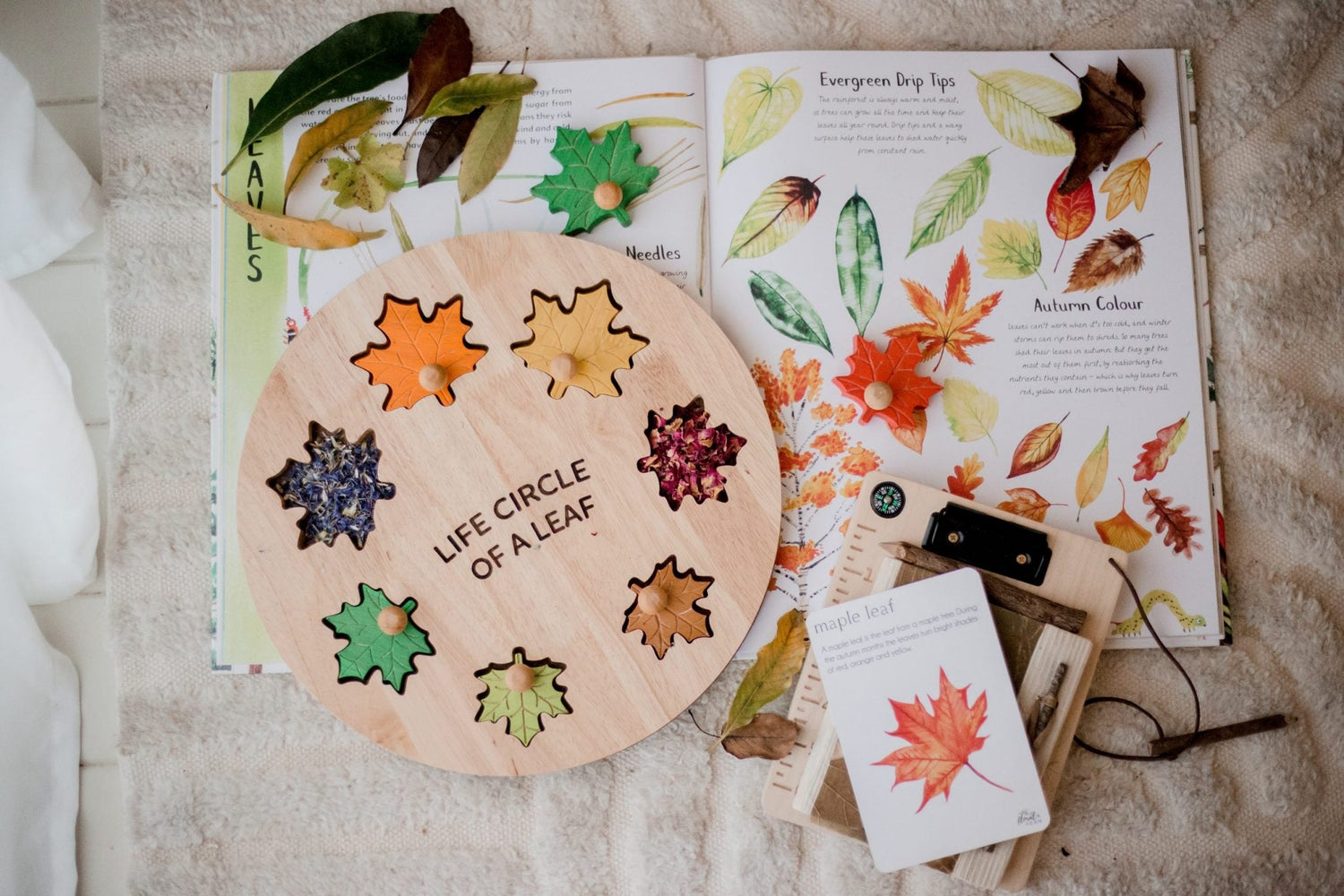 Puzzles & Blocks