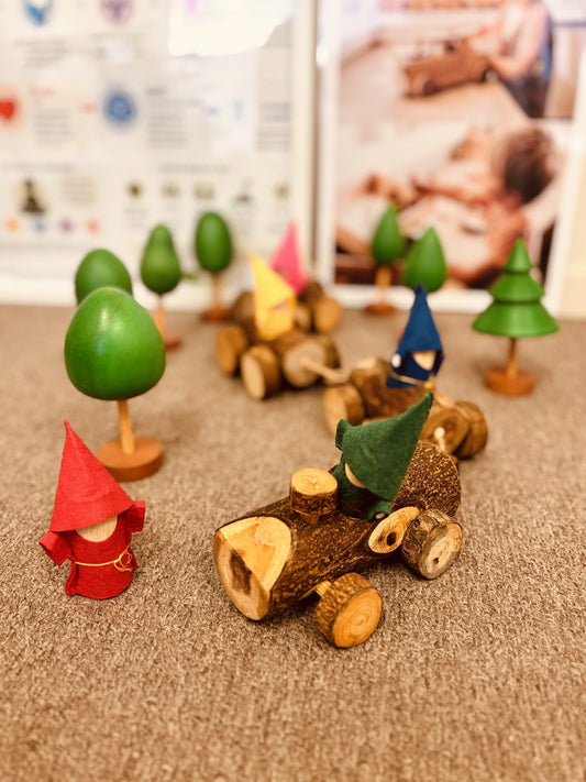 Gnome Adventure Train