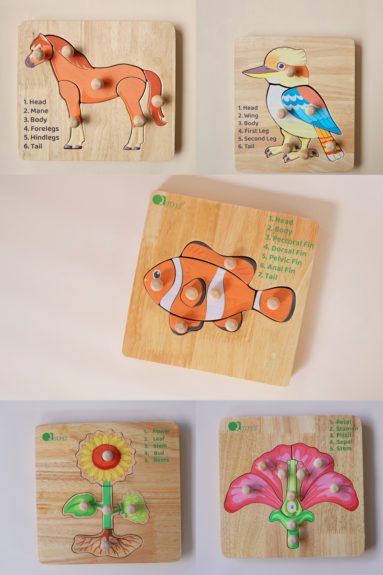 Montessori Plants & Animals Bundle