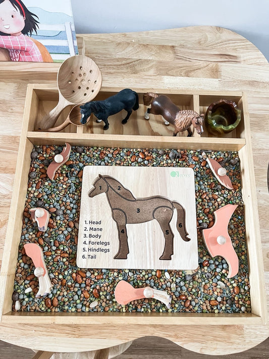Montessori Biology Learning Package