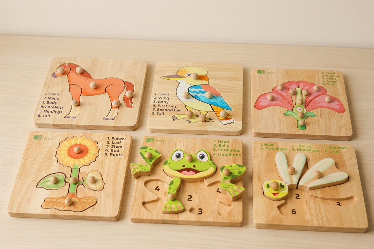 Montessori Biology Learning Kit