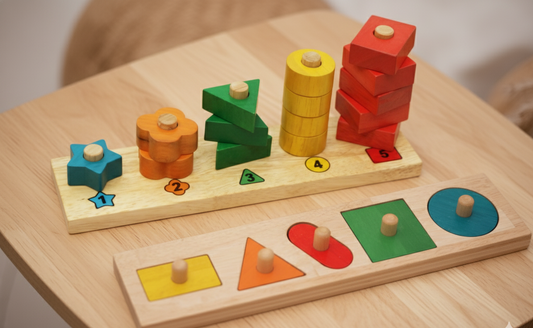 Montessori Shapes Puzzle Kit