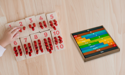 Montessori Counting Set and Rods