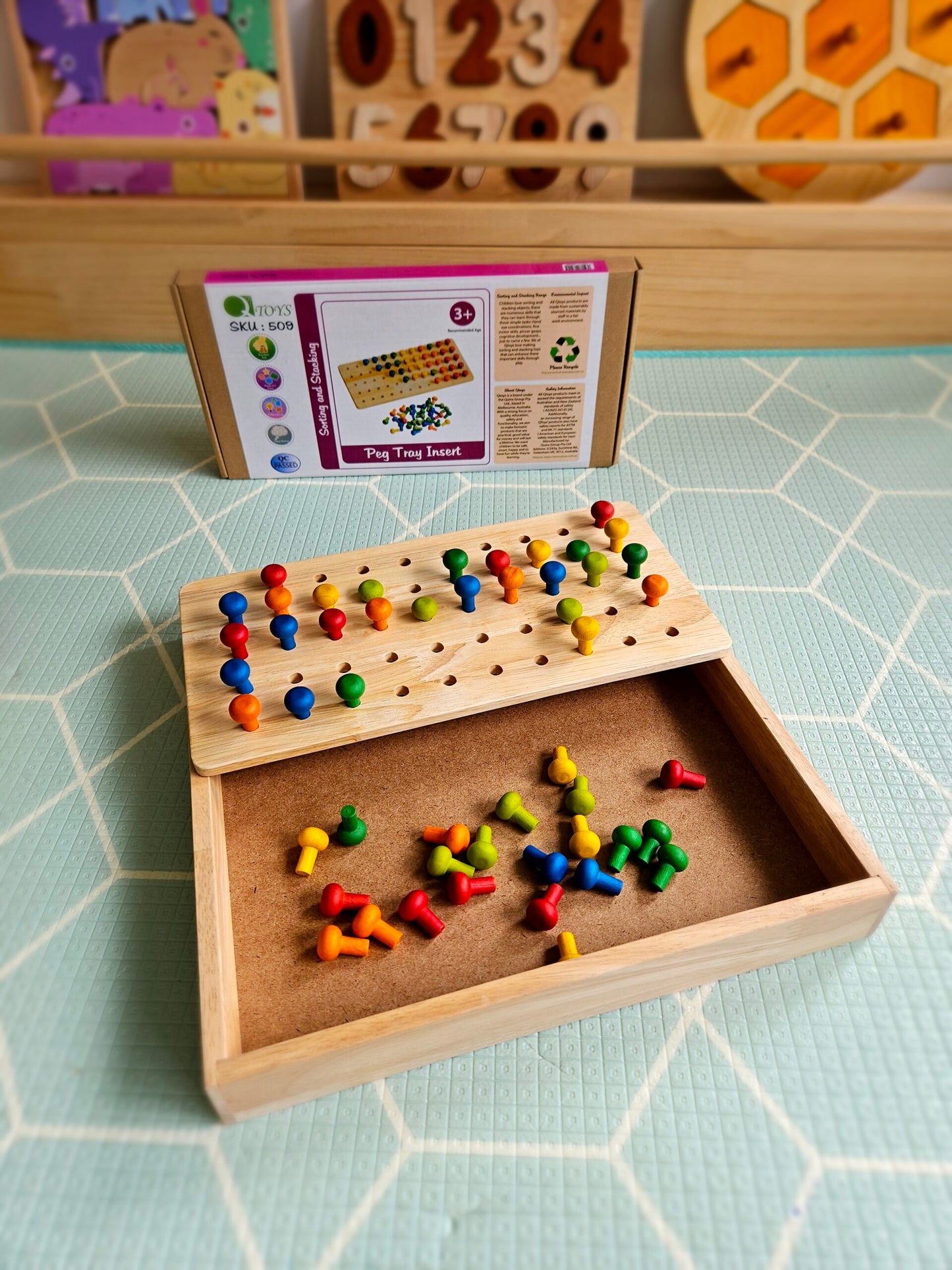 Montessori Sand Tray + Peg Tray Insert