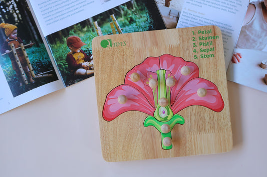 Montessori Parts of a Flower Puzzle