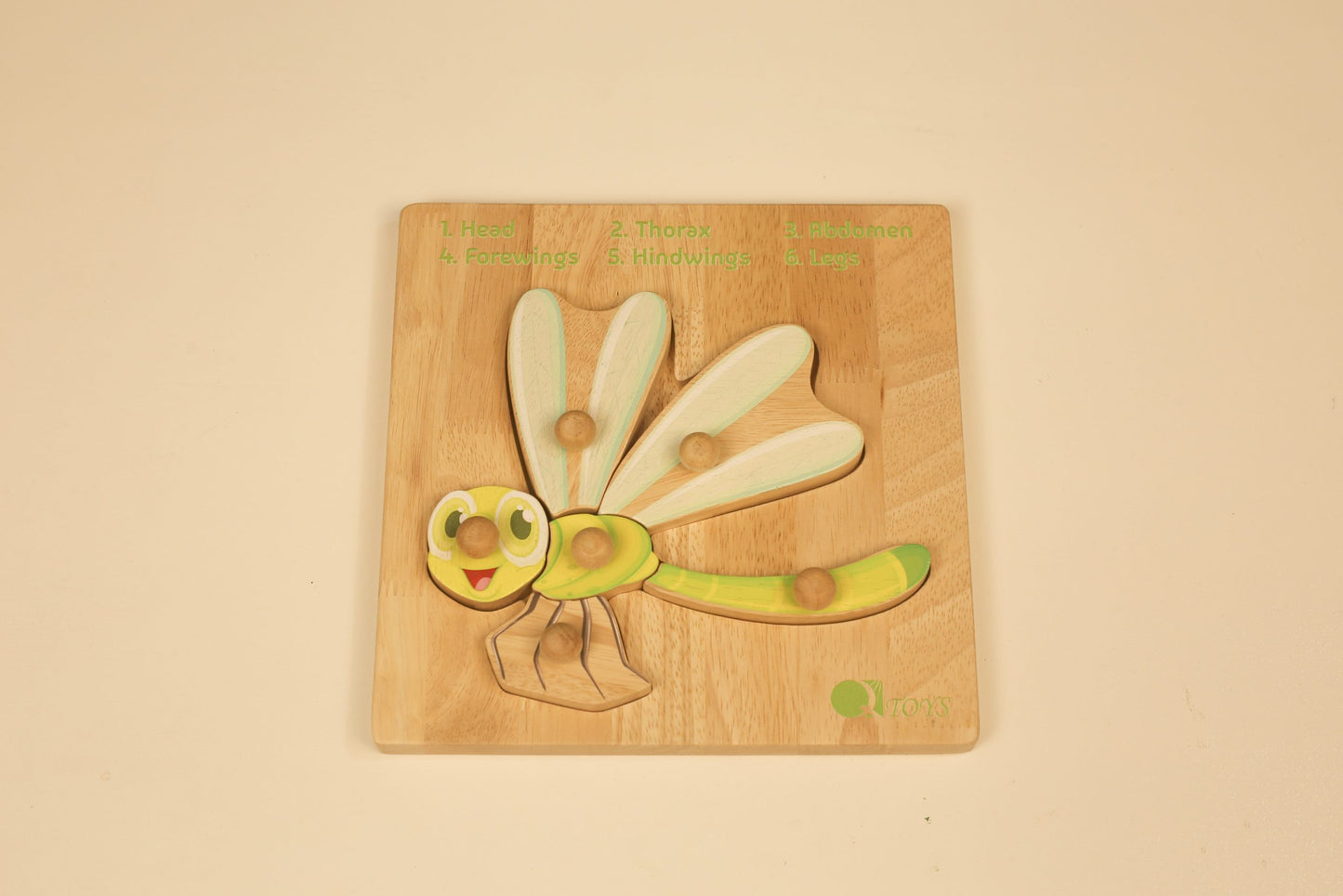 Montessori Insect Anatomy Puzzle