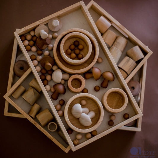 Montessori Nesting Trays Set