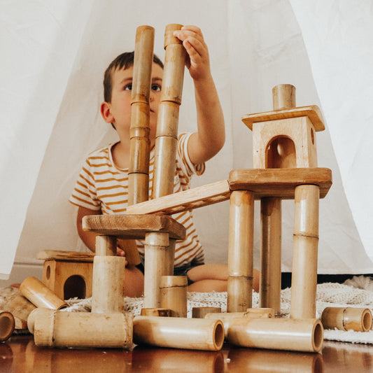 Bamboo Building Set with Acacia Houses