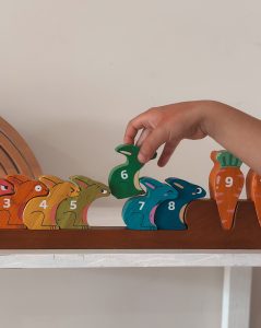 Counting Rabbit Number Puzzle