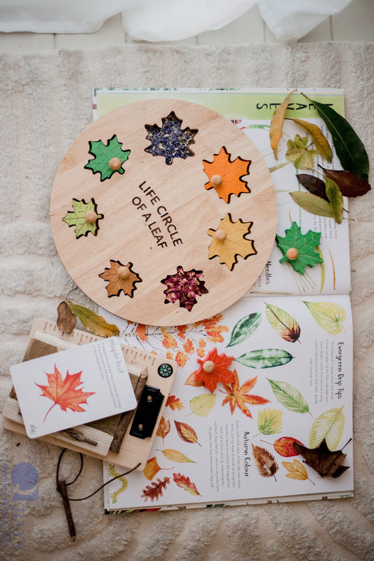 Leaf Circle of Life Wooden Learning Puzzle