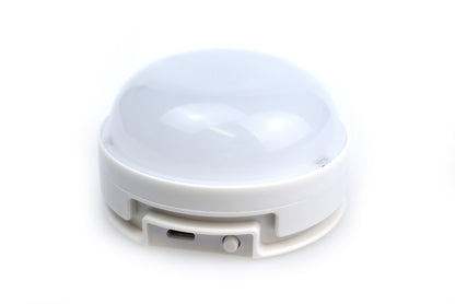 Rory the Lion Silicone Night Light